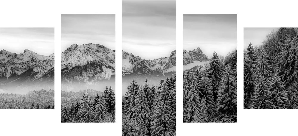 Quadri 5 pezzi – Montagne ghiacciate in bianco e nero