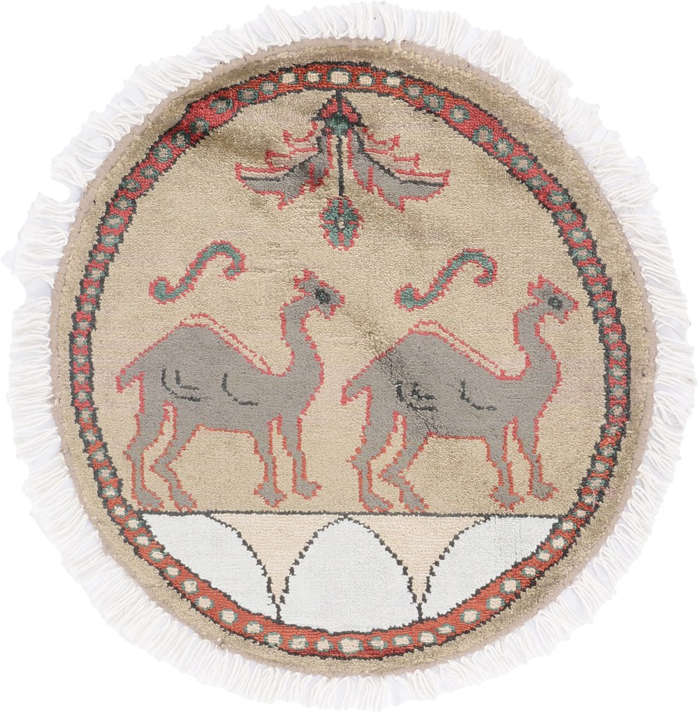Agra Tappeto orientale 50 x 50 (Indian) Annodato A Mano