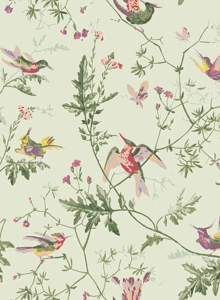 Cole & Son Tapete Hummingbirds - Multi/ Old Olive on Eau Du Nil