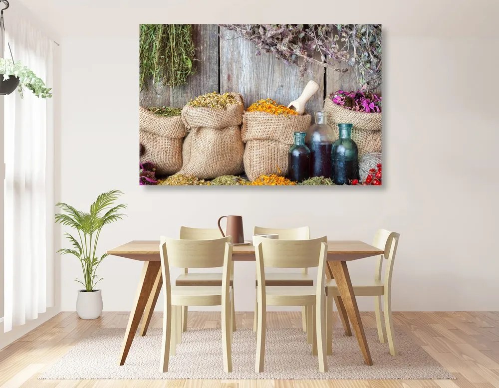 Quadro su tela – Erbe medicinali