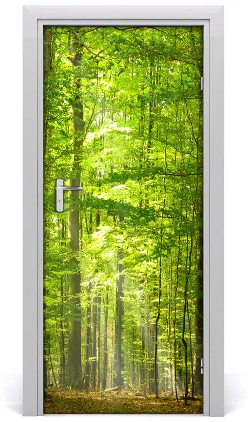 Adesivo per porta interna Paesaggi della foresta di faggi 75x205 cm