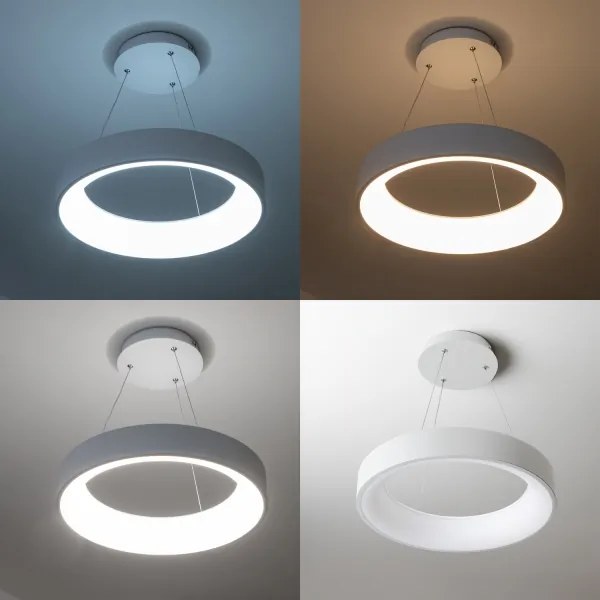 Brilagi - Lampadario LED Dimmerabile su corda FALCON LED/80W/230V 3000-6500K + tc