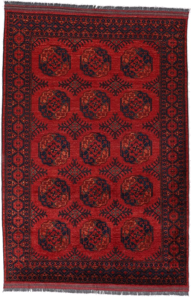 Afghan Tappeto 210 x 300 (Afghanistan) Annodato A Mano