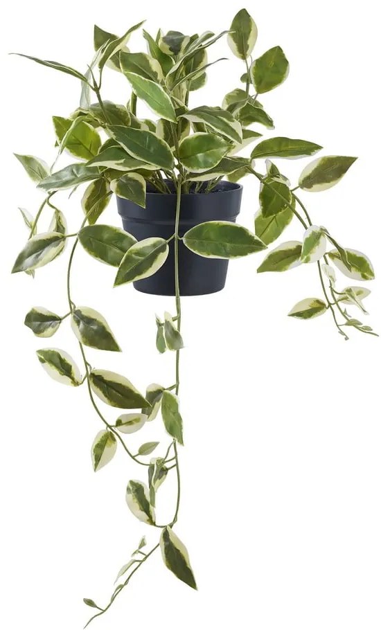 Pianta artificiale (altezza 33 cm) Hoya Carnosa - House Nordic
