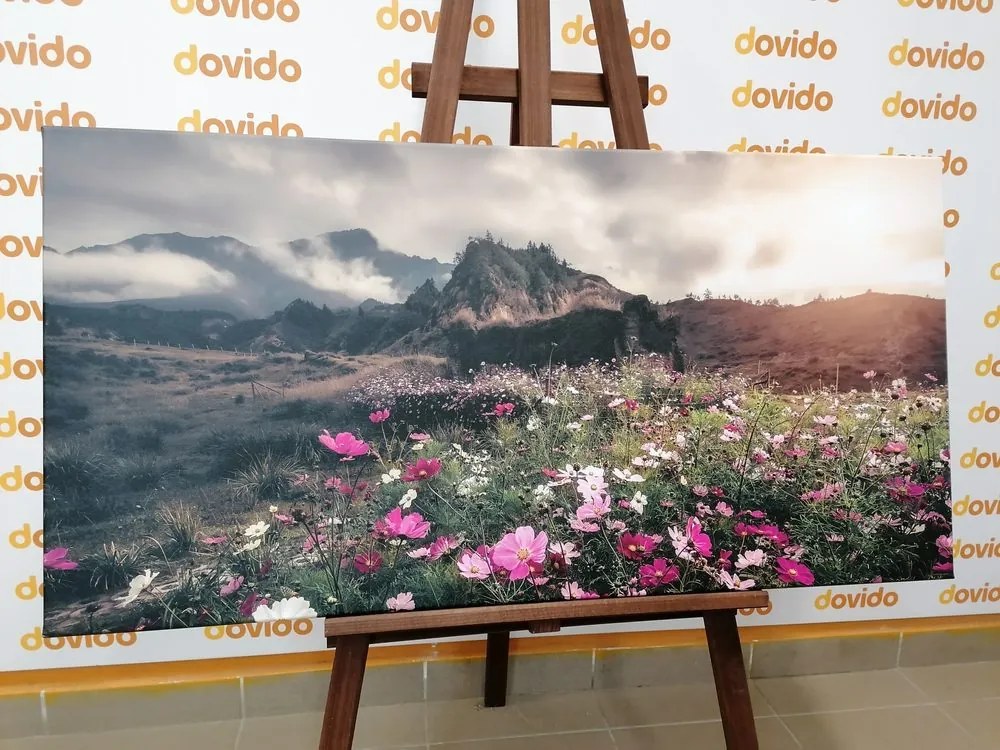 Quadro su tela – Prato di fiori in fiore