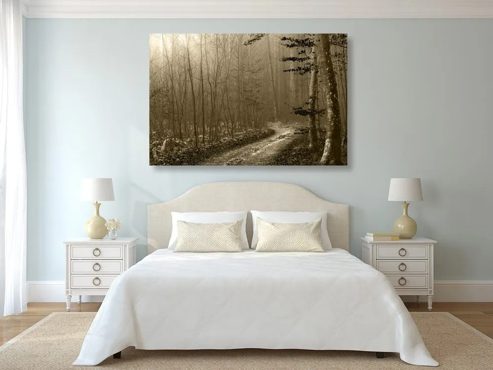 Quadro su tela – Sentiero nella foresta in seppia