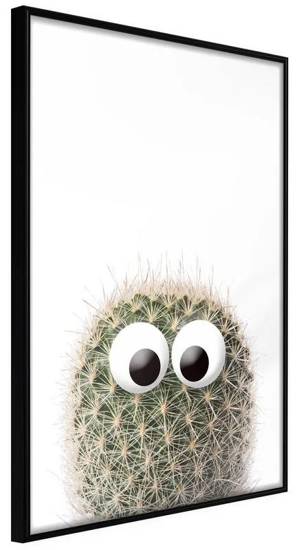 Poster  Funny Cactus II  Cornice Quadri Cornice nera, Larghezza x Altezza Home decor 20x30