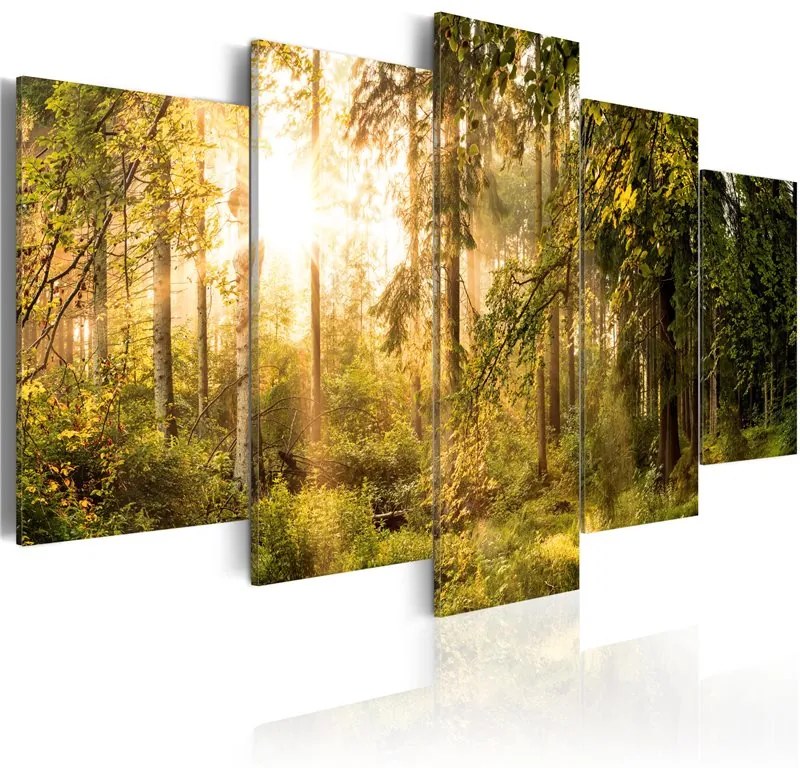 Quadro Magic of Forest