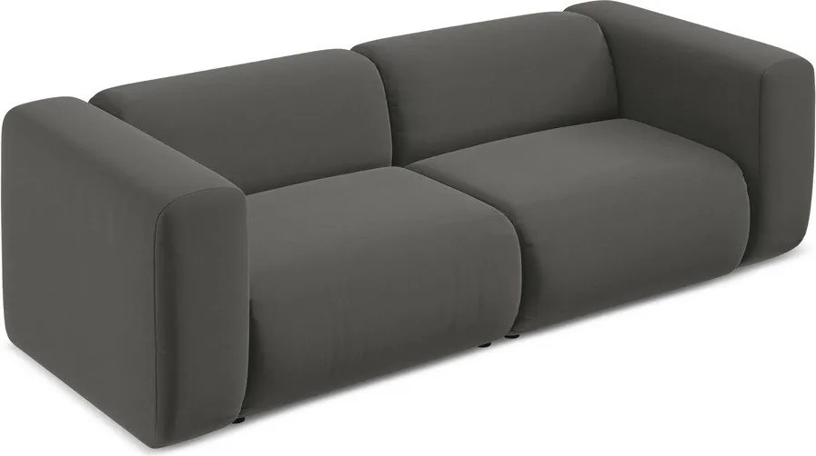 Divano grigio con rivestimento in velluto 228 cm Ekahi – Makamii