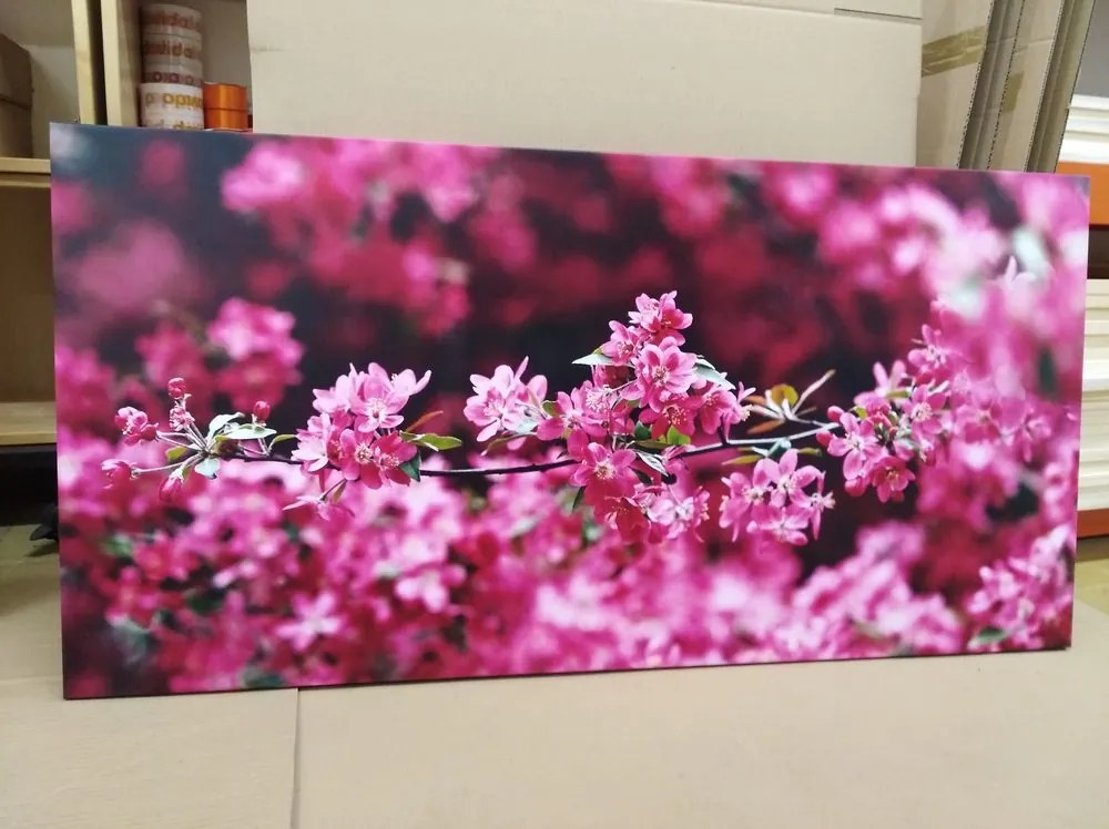 Stampa su tela – Dettaglio di fiori di ciliegio