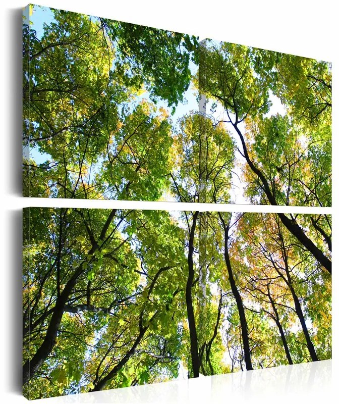 Quadro Treetops  Colore Verde, Dimensioni e Misure 90x90