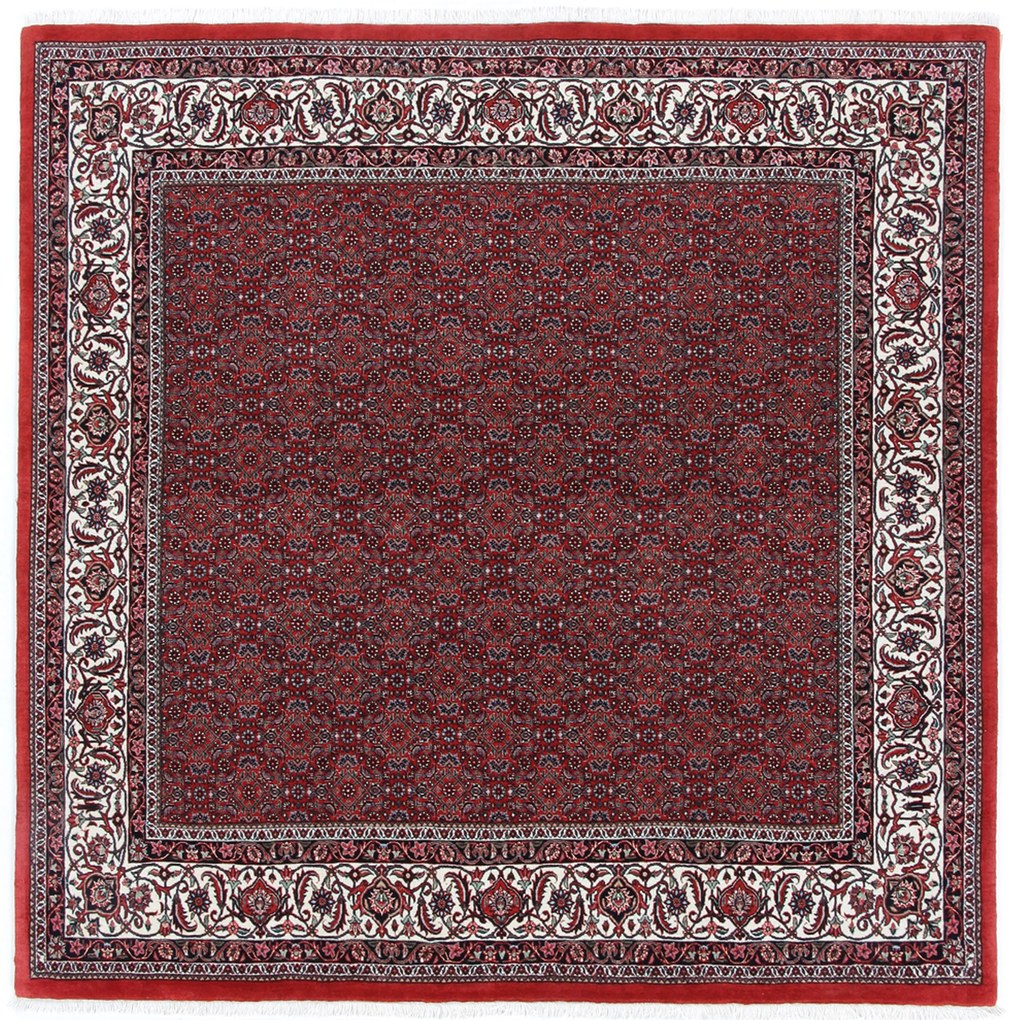 Bidjar Tappeto persiano 210x210 (Iran) Annodato A Mano