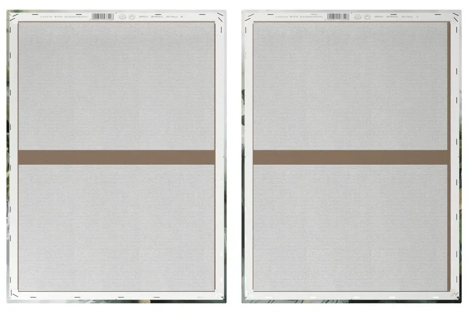 Set di quadri con elementi dipinti a mano 2 pz 50x70 cm Myrtle – Styler