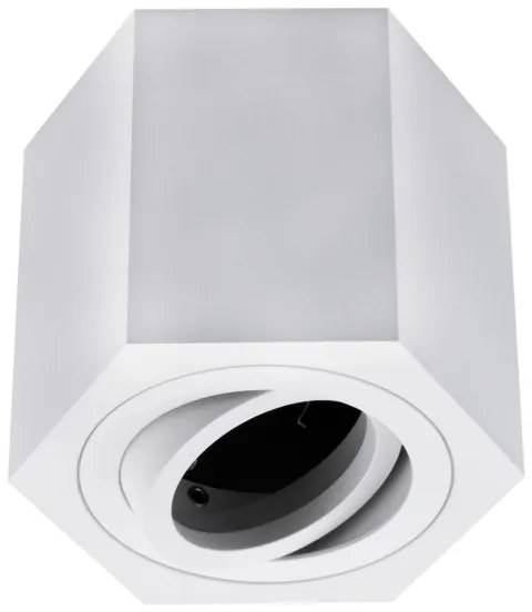 Plafoniera ARENO 1xGU10/30W/230V bianca