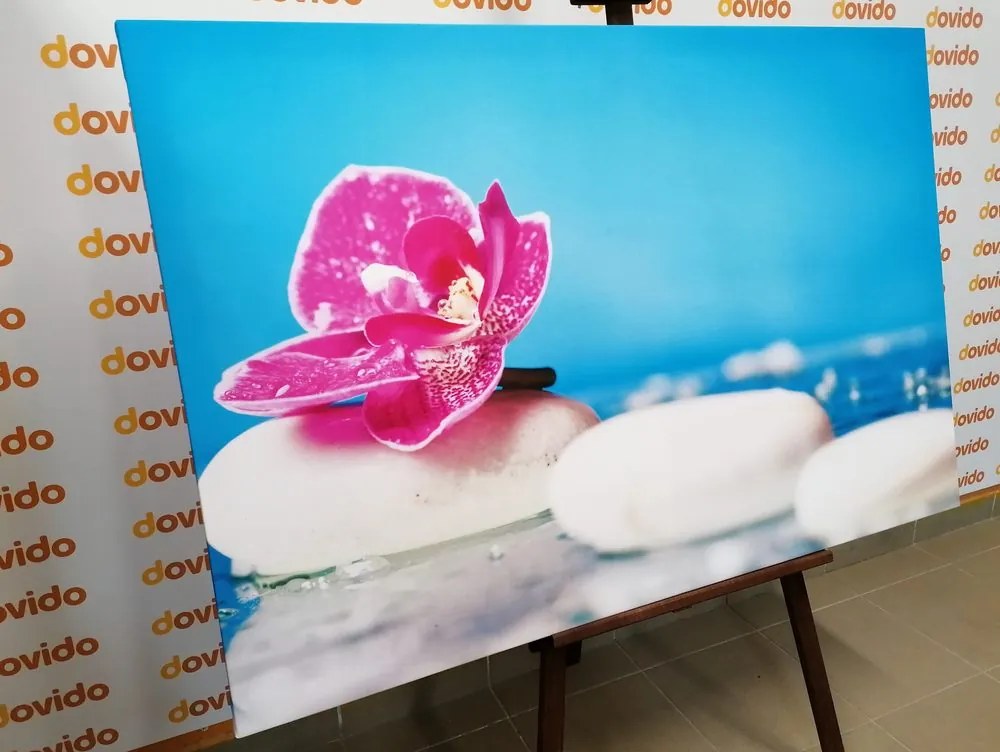 Quadro su tela – Orchidea e pietre Zen