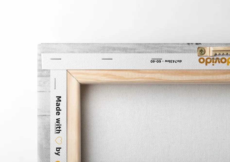 Quadro su tela – In atmosfera vintage in bianco e nero