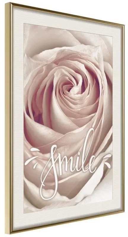 Poster  Rose with a Message  Cornice Quadri Cornice d'oro con passe-partout, Larghezza x Altezza Home decor 20x30