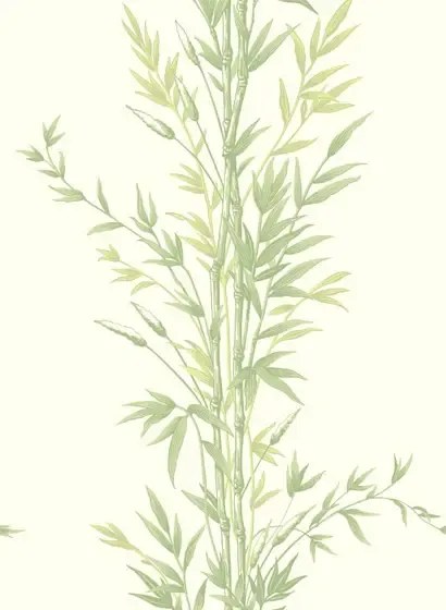 Tapete Bamboo von Cole & Son - Green