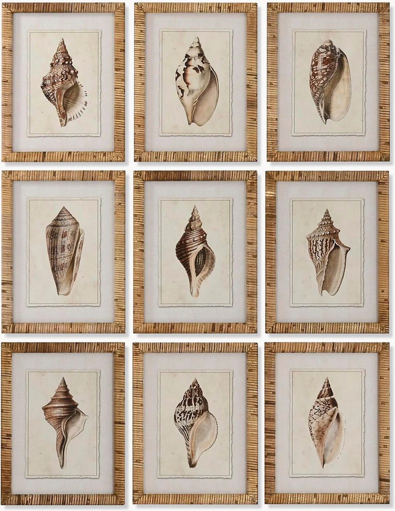 Set di 9 stampe digitali incorniciate Conch