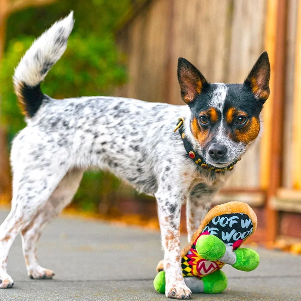 Giocattolo per cane Skateboard - P.L.A.Y.