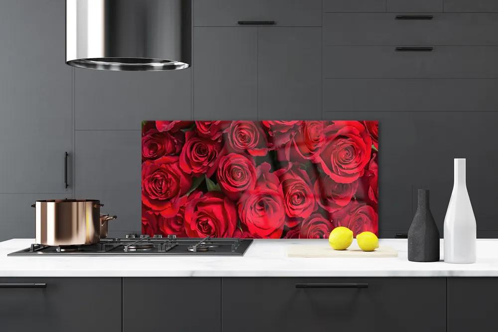 Pannello cucina paraschizzi Fiori della natura delle rose rosse 100x50 cm