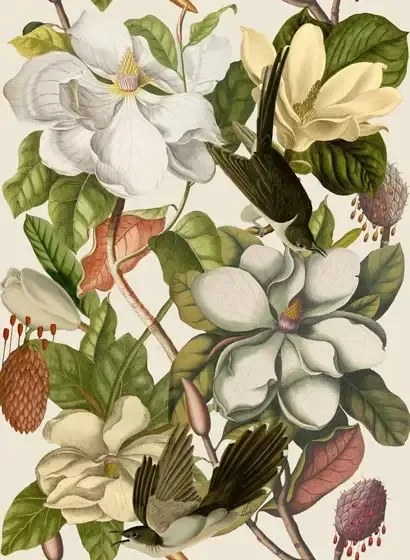Mindthegap Carta da parati Magnolia - WP20152