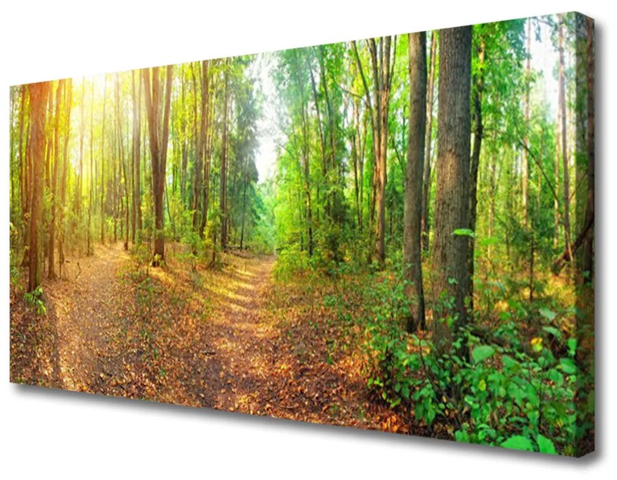 Quadro su tela Alberi della natura della foresta 100x50 cm