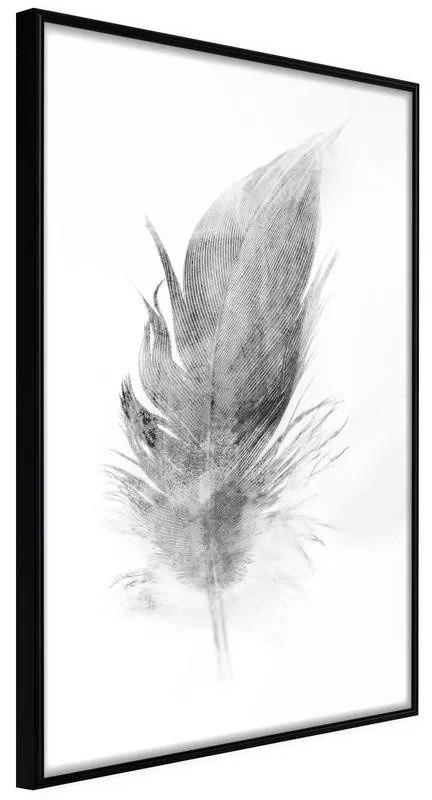 Poster  Lost Feather (Grey)  Cornice Quadri Cornice nera, Larghezza x Altezza Home decor 30x45