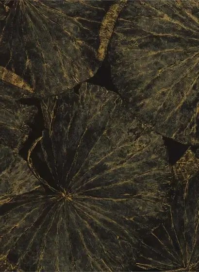 Seerosen Tapete Taisho Deco von Zoffany - Vine Black