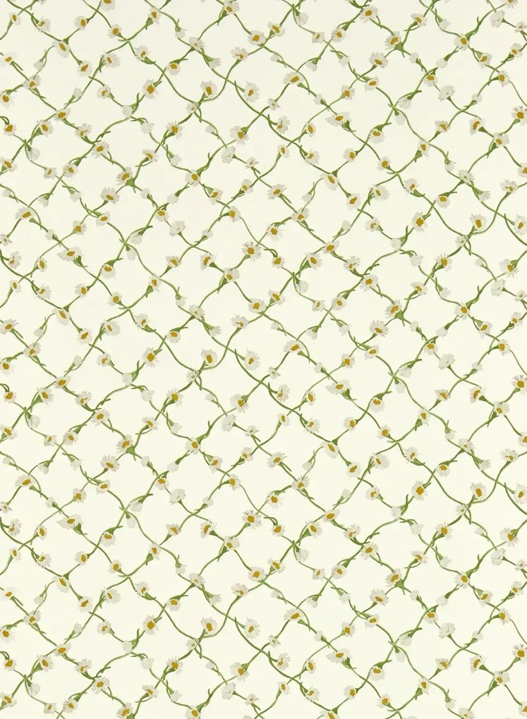 Harlequin Carta da parati Daisy Trellis - Emerald/ Pearl