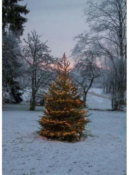 Eglo 410817 - Catena luminosa natalizia LED per esterni GOLDEN 1200xLED 29m IP44 bianco caldo