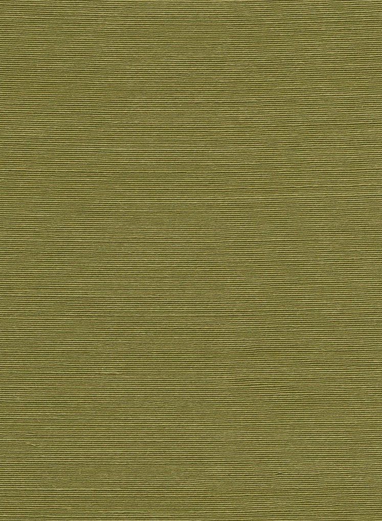 Arte International Carta da parati Agave - Olive