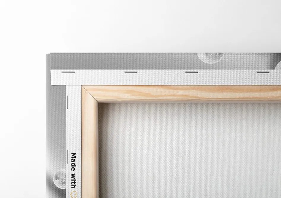 Quadro su tela – Magnolie lussuose con perle in bianco e nero