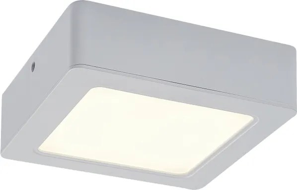 Rabalux 3174 - Plafoniera LED SHAUN LED/12W/230V 14,5 cm