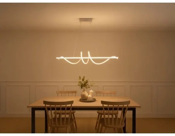 Lampadario LED dimmerabile a sospensione con cavo LED/50W/230V 3000-6500K 100 cm + telecomando