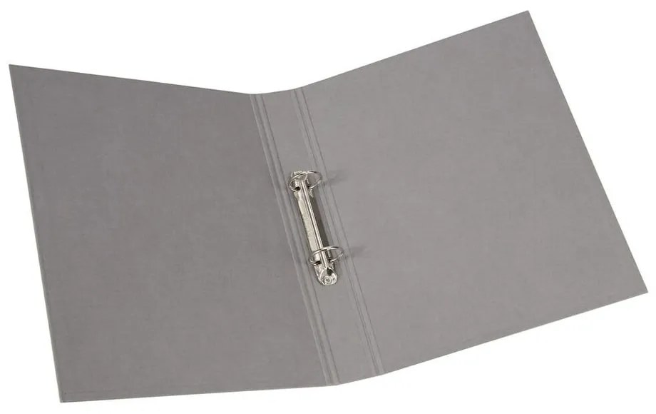 Organizzatore di cartone Ringo - Bigso Box of Sweden