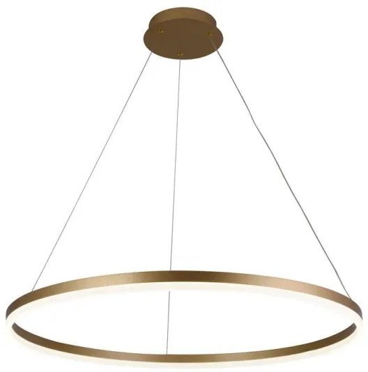 Brilagi - Lampadario a sospensione con filo LED dimmerabile CIRCLE LED/55W/230V 3000-6500K oro + +TC