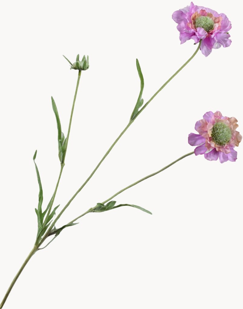 Fiori artificiali Scabiosa, set da 2