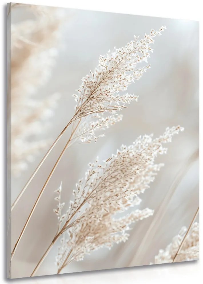 Quadro su tela – Canna beige