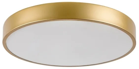 Rabalux 71037 - Plafoniera LED TESIA LED/36W/230V 3000K