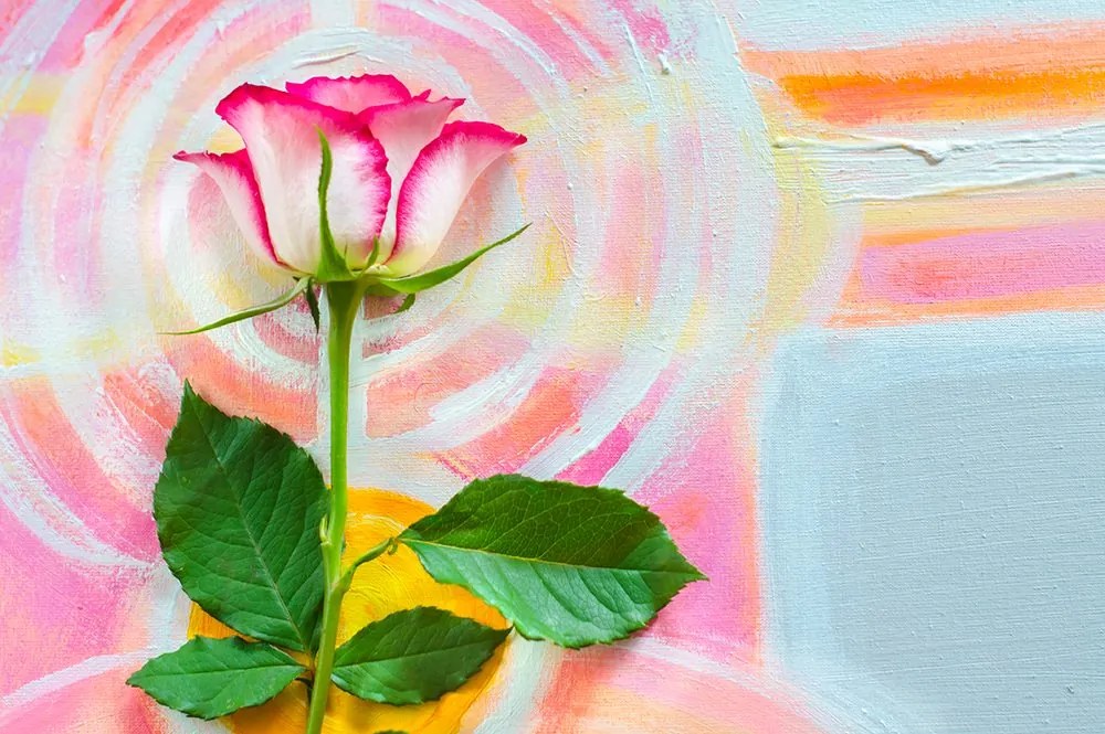 Carta da parati – Rosa su tela da pittura