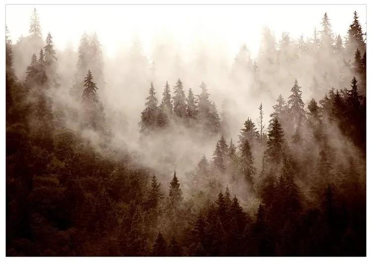 Fotomurale adesivo Mountain Forest (Sepia)