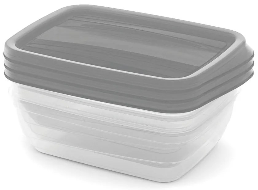 Scatole per alimenti 3 pz. Vedo - Curver