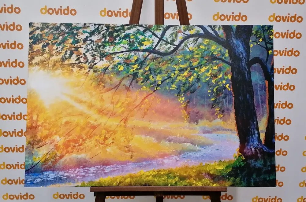 Quadro su tela – Alba nel bosco