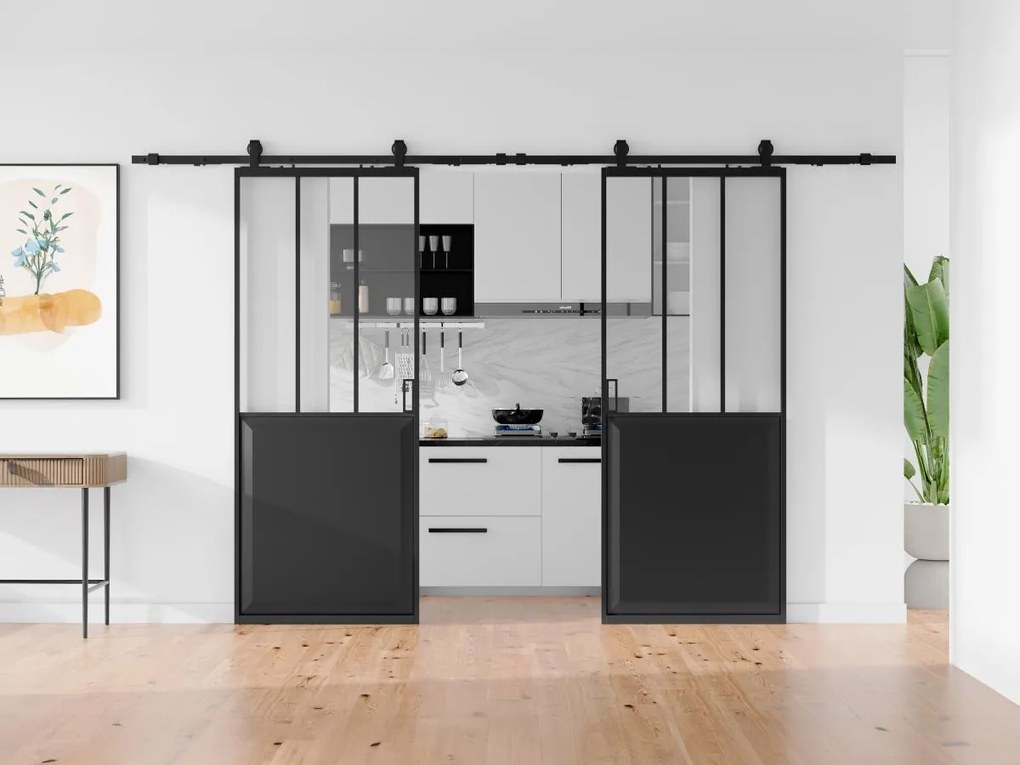Porte scorrevole doppia atelier esterno muro 2 x H205 x L93 cm Nero e Vetro temperato - ARTISTO II