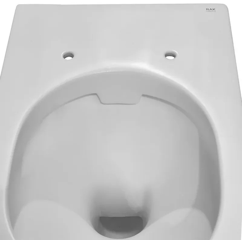 Wc sospeso rimfree serie Feeling in ceramica con finitura bianco matt