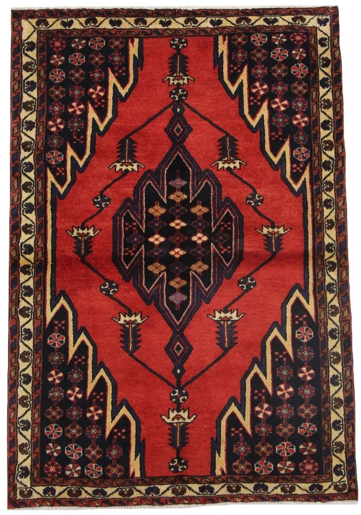 Hamedan Tappeto 160x110 (Iran)