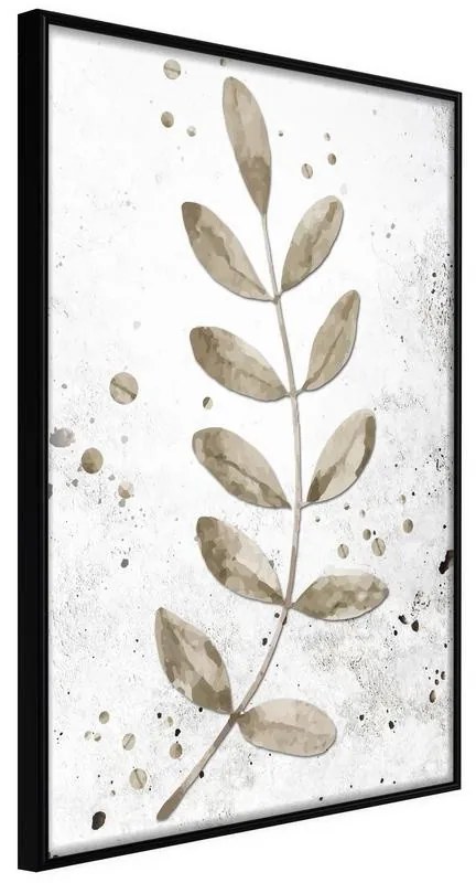 Poster  Dried Twig  Cornice Quadri Cornice nera, Larghezza x Altezza Home decor 20x30