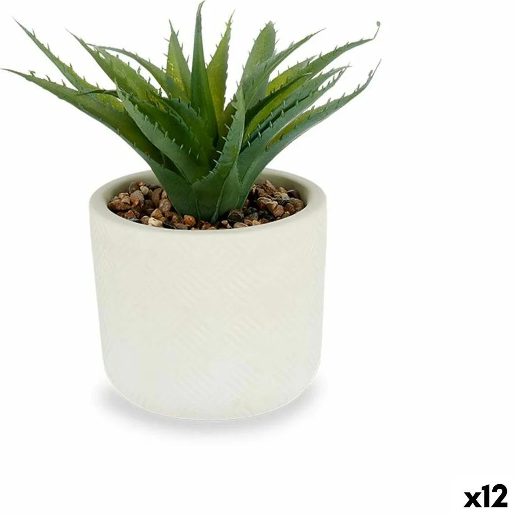 Pianta Decorativa Succulenta Plastica 14 x 18 x 14 cm (12 Unità)