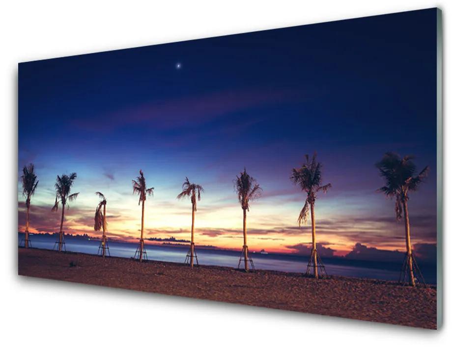 Quadro vetro acrilico Paesaggio del mare della palma 100x50 cm